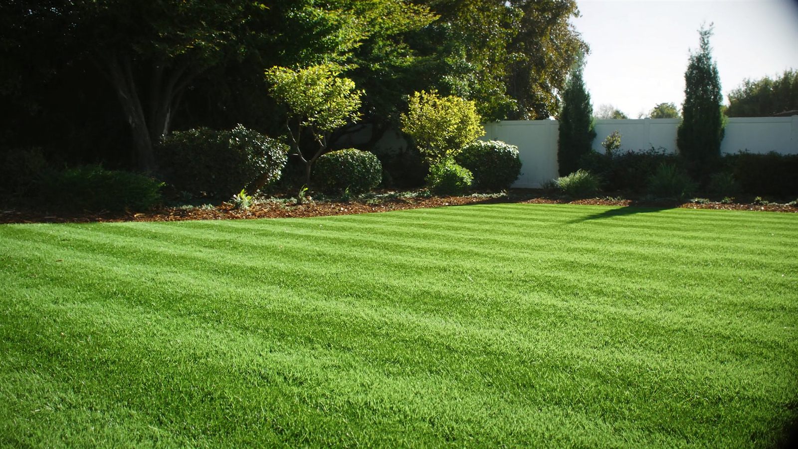 Freshly mowed lawn with crisp stripes and clean bed edging
