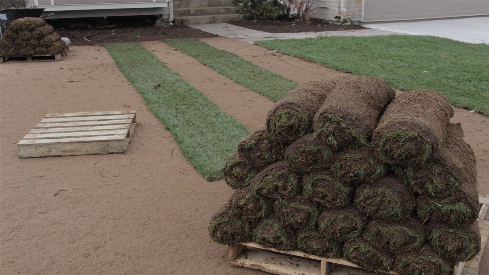 Fresh sod installation in progress on a graded yard
