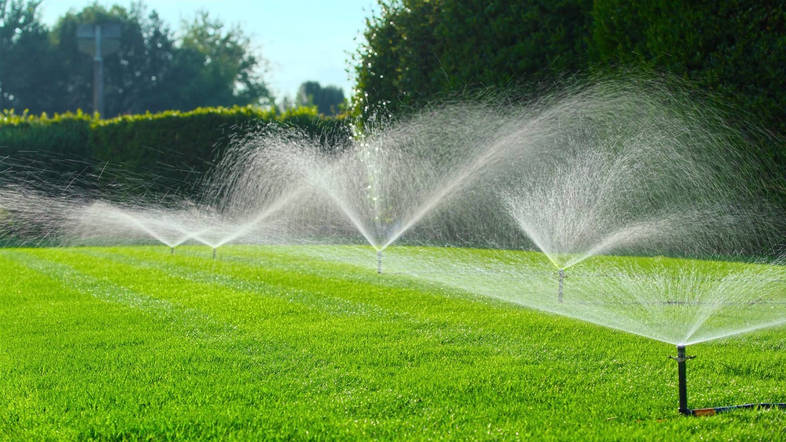 In-ground irrigation system watering a lush green lawn