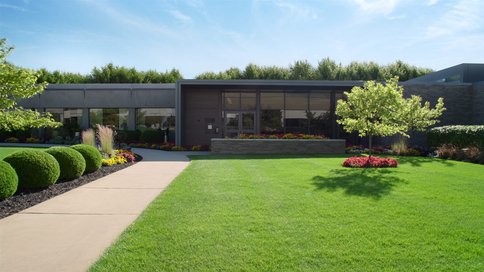 Commercial landscaping at a modern office building entrance